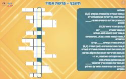 תשבץ לפרשת אמור